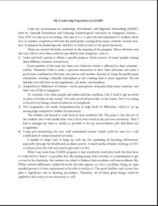 Leadership essay pdf